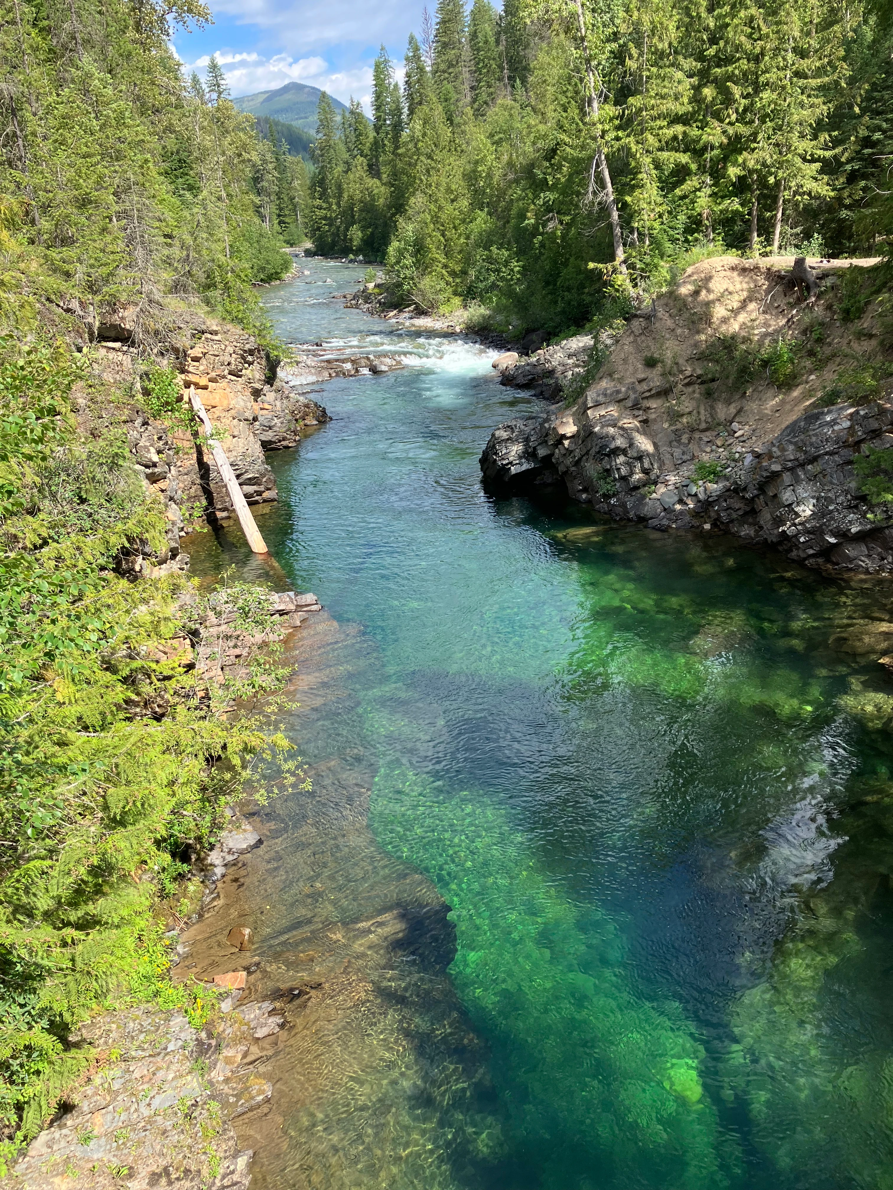 Photo: Recreation Sites and Trails BC. © Province of British Columbia, licensed under the Open Government Licence – British Columbia. Goat River Canyon, photo 7