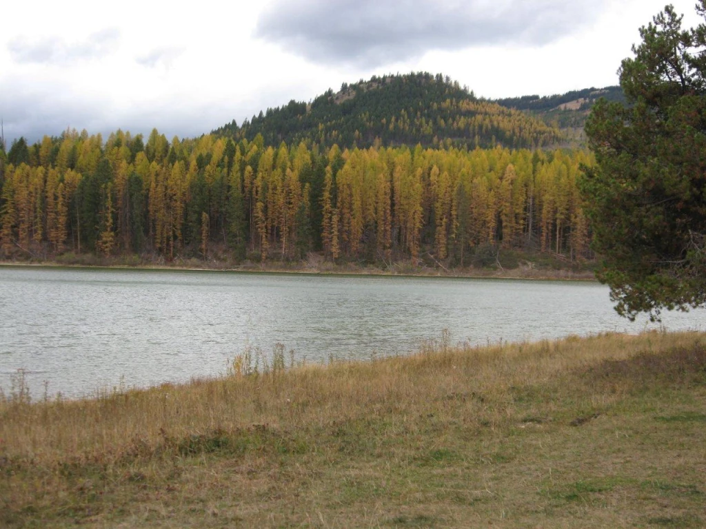 Photo: Recreation Sites and Trails BC. © Province of British Columbia, licensed under the Open Government Licence – British Columbia. Fish Lake, photo 3