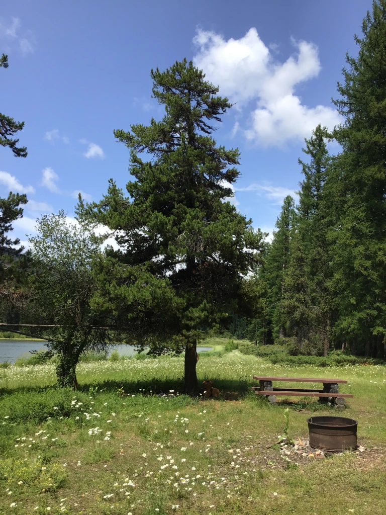 Photo: Recreation Sites and Trails BC. © Province of British Columbia, licensed under the Open Government Licence – British Columbia. Fish Lake, photo 5