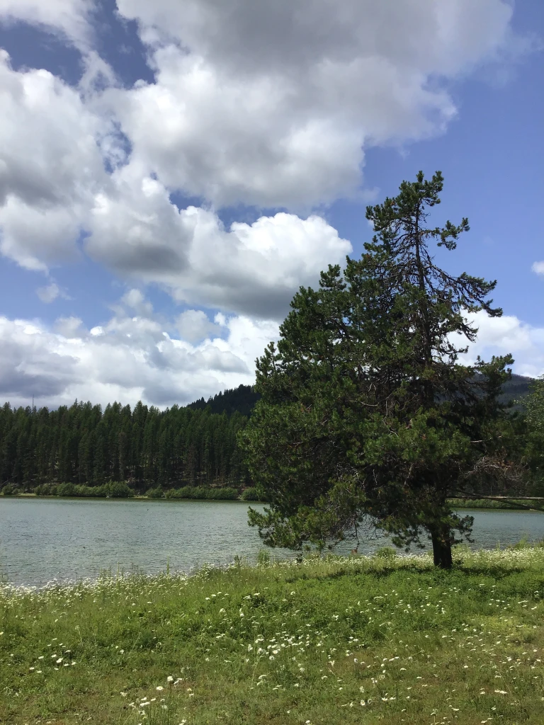 Photo: Recreation Sites and Trails BC. © Province of British Columbia, licensed under the Open Government Licence – British Columbia. Fish Lake, photo 6