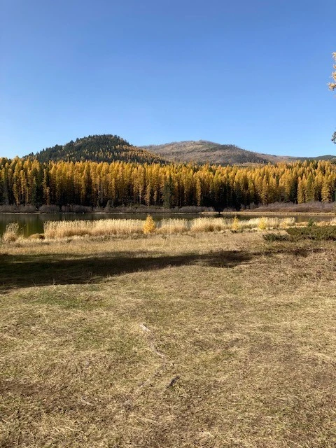 Photo: Recreation Sites and Trails BC. © Province of British Columbia, licensed under the Open Government Licence – British Columbia. Fish Lake, photo 2