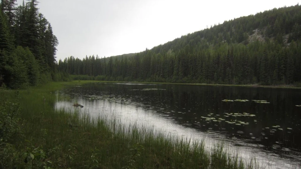 Photo: Recreation Sites and Trails BC. © Province of British Columbia, licensed under the Open Government Licence – British Columbia. Moore Lake, photo 3