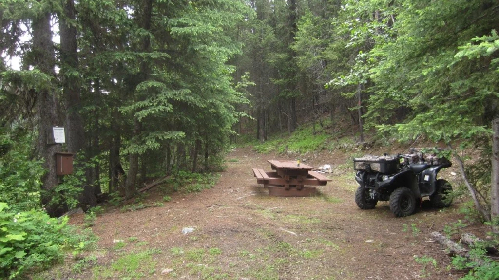 Photo: Recreation Sites and Trails BC. © Province of British Columbia, licensed under the Open Government Licence – British Columbia. Moore Lake, photo 2