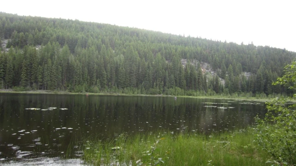 Photo: Recreation Sites and Trails BC. © Province of British Columbia, licensed under the Open Government Licence – British Columbia. Moore Lake, photo 4