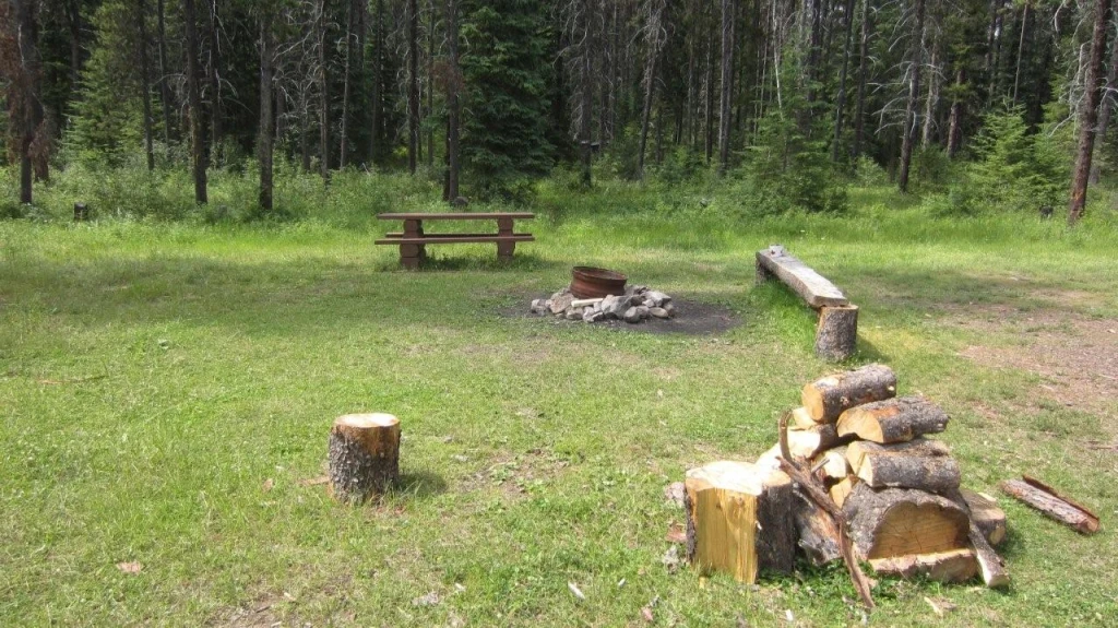 Photo: Recreation Sites and Trails BC. © Province of British Columbia, licensed under the Open Government Licence – British Columbia. Bluejoint Creek, photo 5