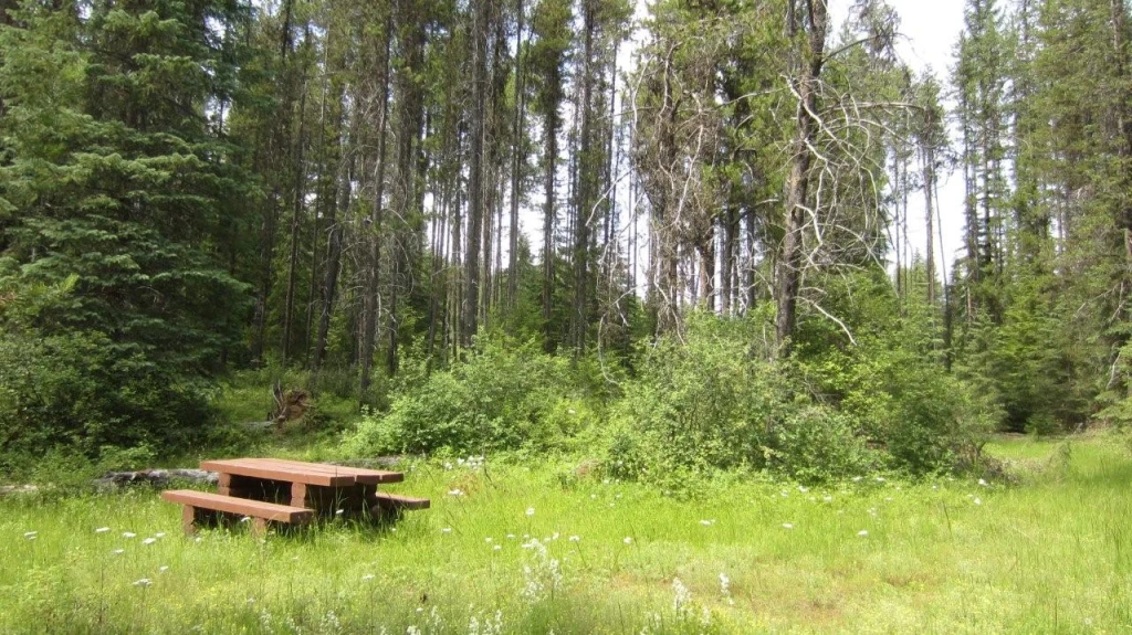 Photo: Recreation Sites and Trails BC. © Province of British Columbia, licensed under the Open Government Licence – British Columbia. Bluejoint Creek