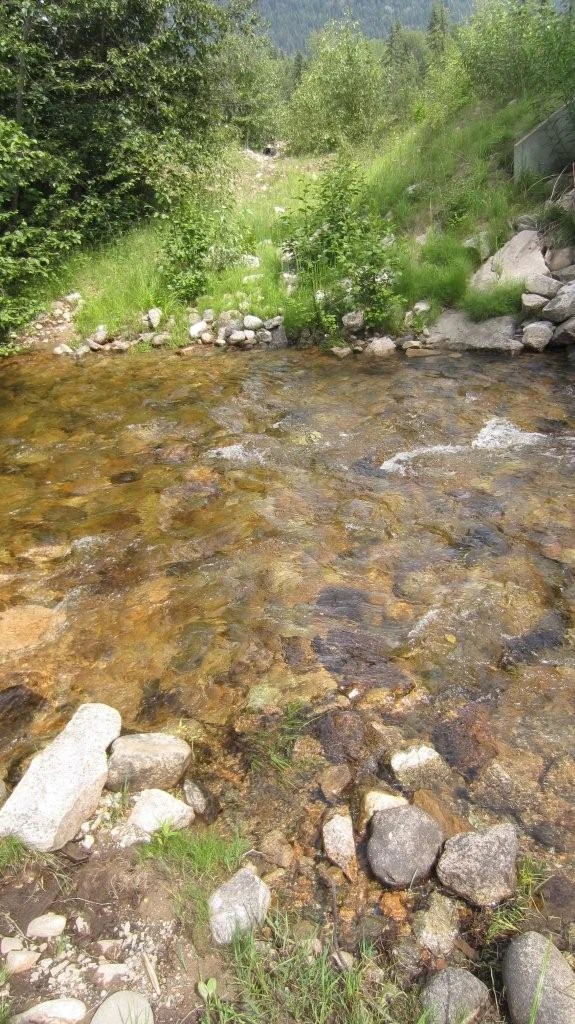 Photo: Recreation Sites and Trails BC. © Province of British Columbia, licensed under the Open Government Licence – British Columbia. Bluejoint Creek, photo 3