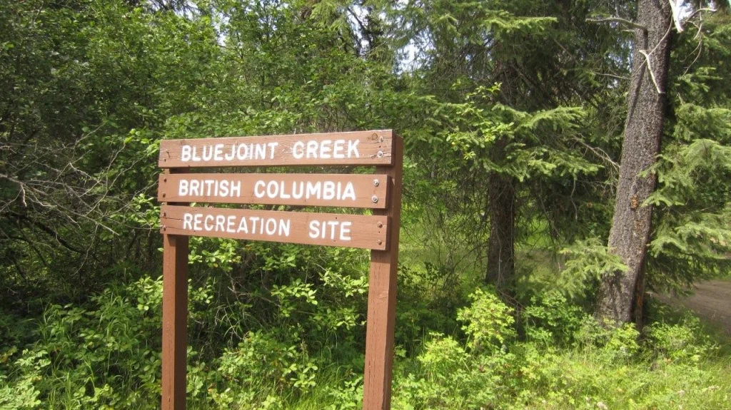 Photo: Recreation Sites and Trails BC. © Province of British Columbia, licensed under the Open Government Licence – British Columbia. Bluejoint Creek, photo 4