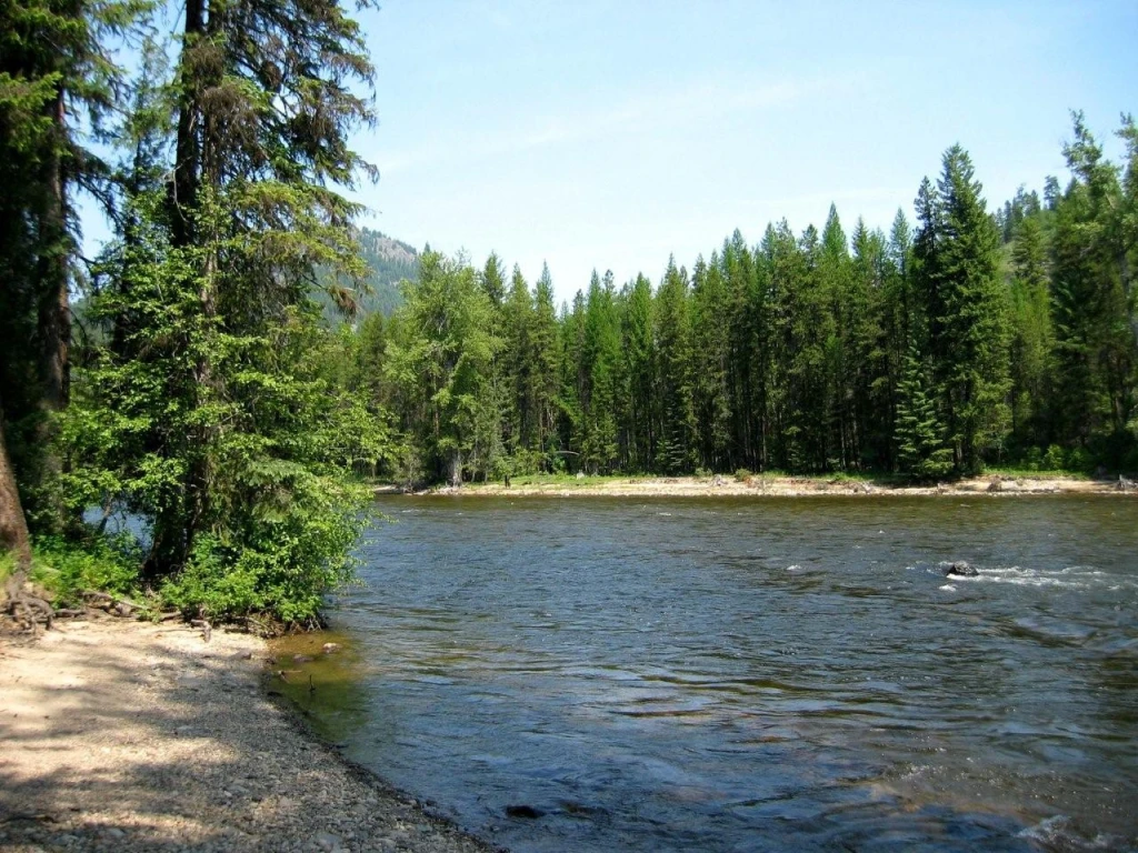 Photo: Recreation Sites and Trails BC. © Province of British Columbia, licensed under the Open Government Licence – British Columbia. Canyon Flats, photo 5