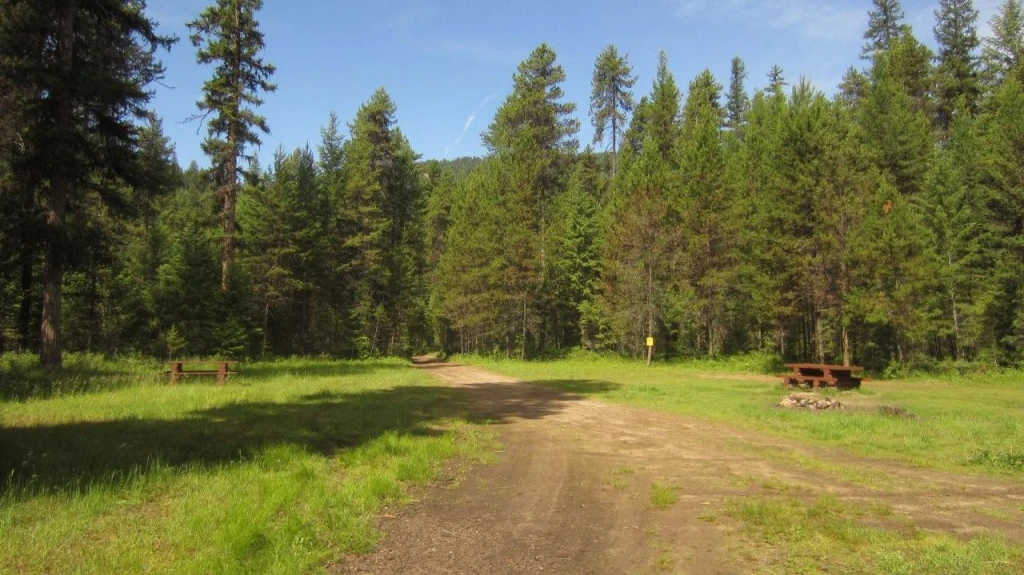 Photo: Recreation Sites and Trails BC. © Province of British Columbia, licensed under the Open Government Licence – British Columbia. Canyon Flats, photo 3