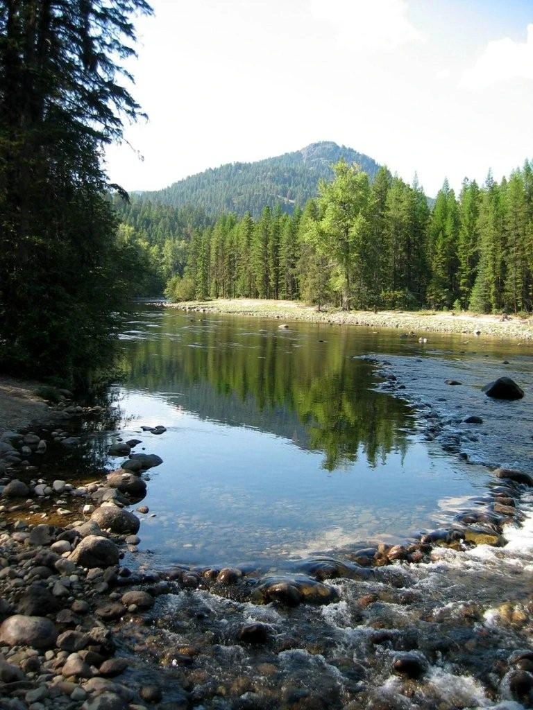 Photo: Recreation Sites and Trails BC. © Province of British Columbia, licensed under the Open Government Licence – British Columbia. Canyon Flats, photo 4