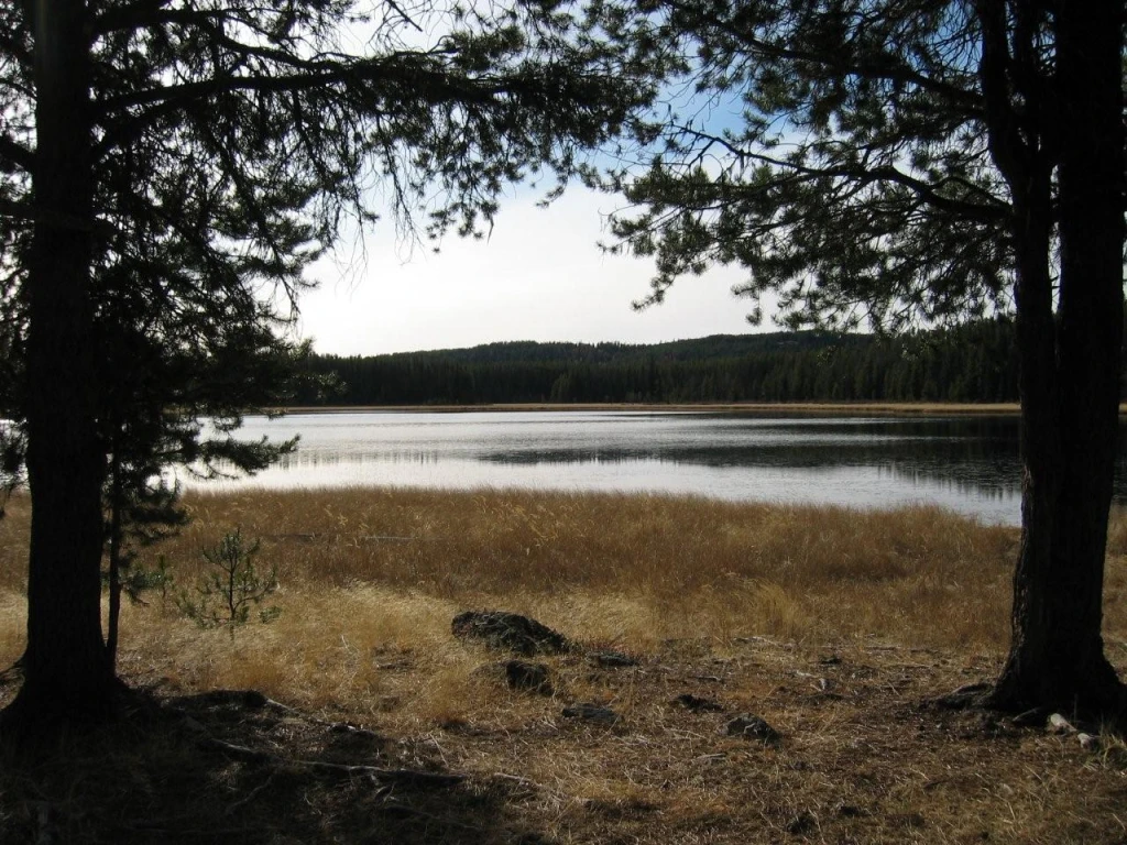 Photo: Recreation Sites and Trails BC. © Province of British Columbia, licensed under the Open Government Licence – British Columbia. Sandrift Lake #3, photo 3