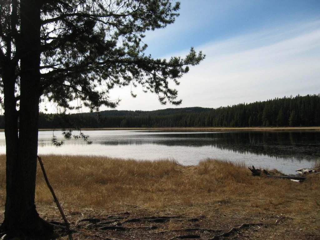 Photo: Recreation Sites and Trails BC. © Province of British Columbia, licensed under the Open Government Licence – British Columbia. Sandrift Lake #3, photo 2