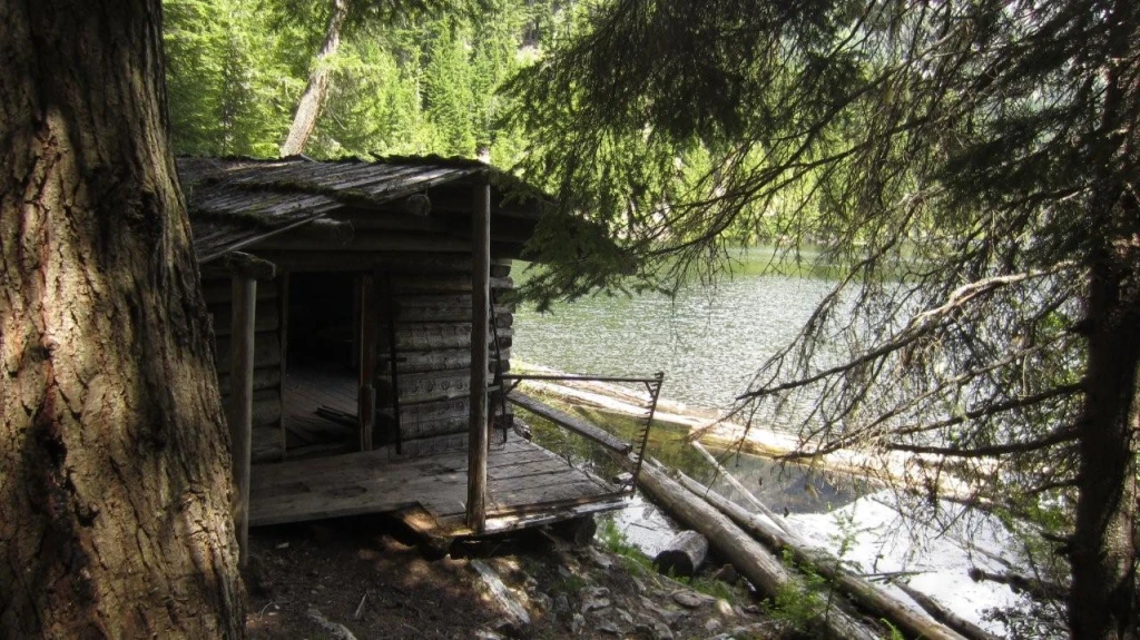Photo: Recreation Sites and Trails BC. © Province of British Columbia, licensed under the Open Government Licence – British Columbia. Wilson Lake W, photo 8
