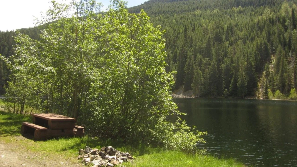 Photo: Recreation Sites and Trails BC. © Province of British Columbia, licensed under the Open Government Licence – British Columbia. Wilson Lake W, photo 4