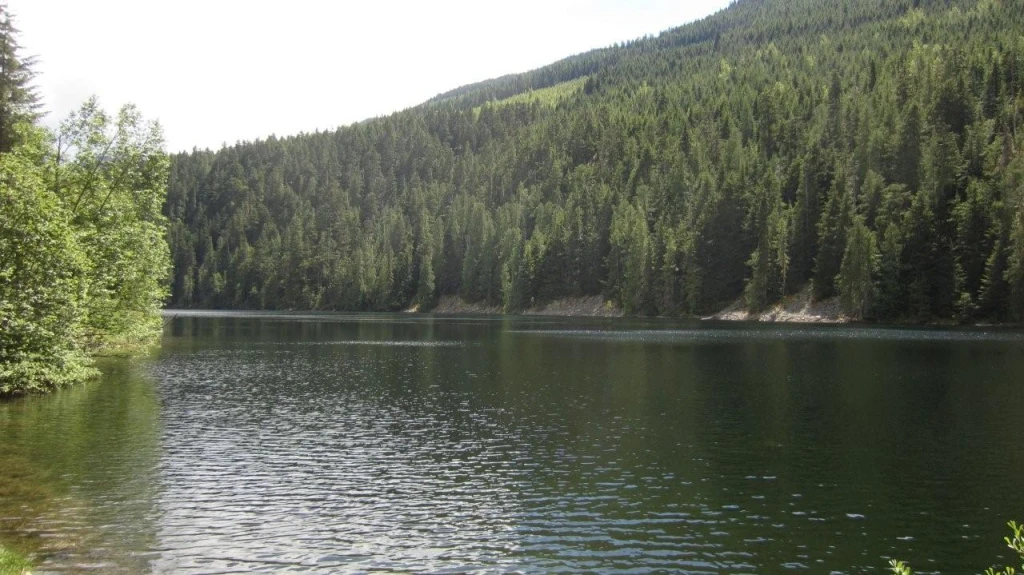 Photo: Recreation Sites and Trails BC. © Province of British Columbia, licensed under the Open Government Licence – British Columbia. Wilson Lake W, photo 5