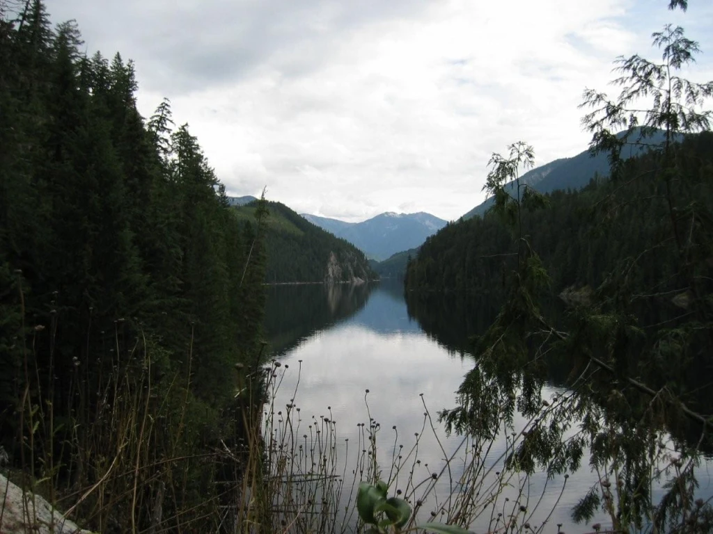 Photo: Recreation Sites and Trails BC. © Province of British Columbia, licensed under the Open Government Licence – British Columbia. Wilson Lake W, photo 1