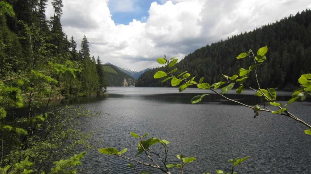 Photo: Recreation Sites and Trails BC. © Province of British Columbia, licensed under the Open Government Licence – British Columbia. Wilson Lake W, photo 6