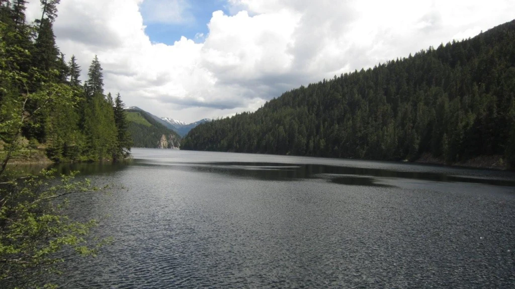 Photo: Recreation Sites and Trails BC. © Province of British Columbia, licensed under the Open Government Licence – British Columbia. Wilson Lake W, photo 7
