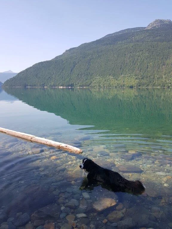 Photo: Recreation Sites and Trails BC. © Province of British Columbia, licensed under the Open Government Licence – British Columbia. Howser Cr Canyon, photo 11