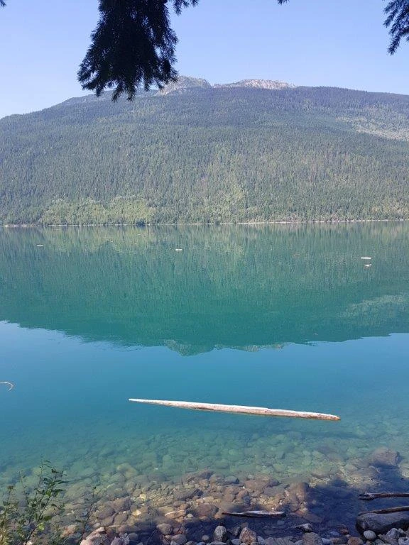 Photo: Recreation Sites and Trails BC. © Province of British Columbia, licensed under the Open Government Licence – British Columbia. Howser Cr Canyon, photo 7