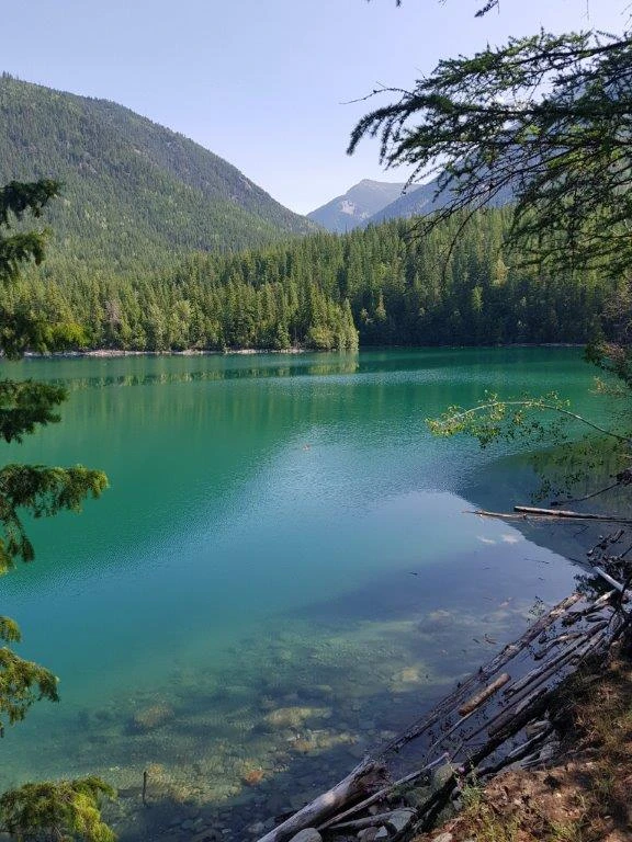 Photo: Recreation Sites and Trails BC. © Province of British Columbia, licensed under the Open Government Licence – British Columbia. Howser Cr Canyon, photo 8