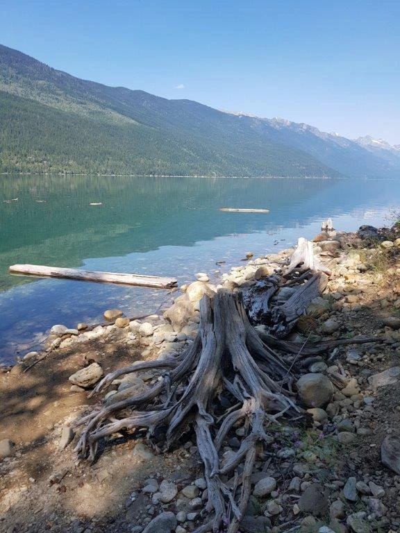 Photo: Recreation Sites and Trails BC. © Province of British Columbia, licensed under the Open Government Licence – British Columbia. Howser Cr Canyon, photo 10