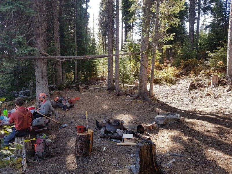 Photo: Recreation Sites and Trails BC. © Province of British Columbia, licensed under the Open Government Licence – British Columbia. Burns Lake, photo 6