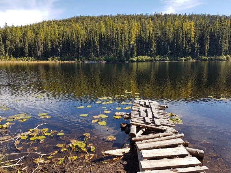 Photo: Recreation Sites and Trails BC. © Province of British Columbia, licensed under the Open Government Licence – British Columbia. Burns Lake, photo 2