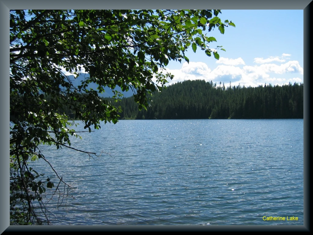 Photo: Recreation Sites and Trails BC. © Province of British Columbia, licensed under the Open Government Licence – British Columbia. Catherine Lake