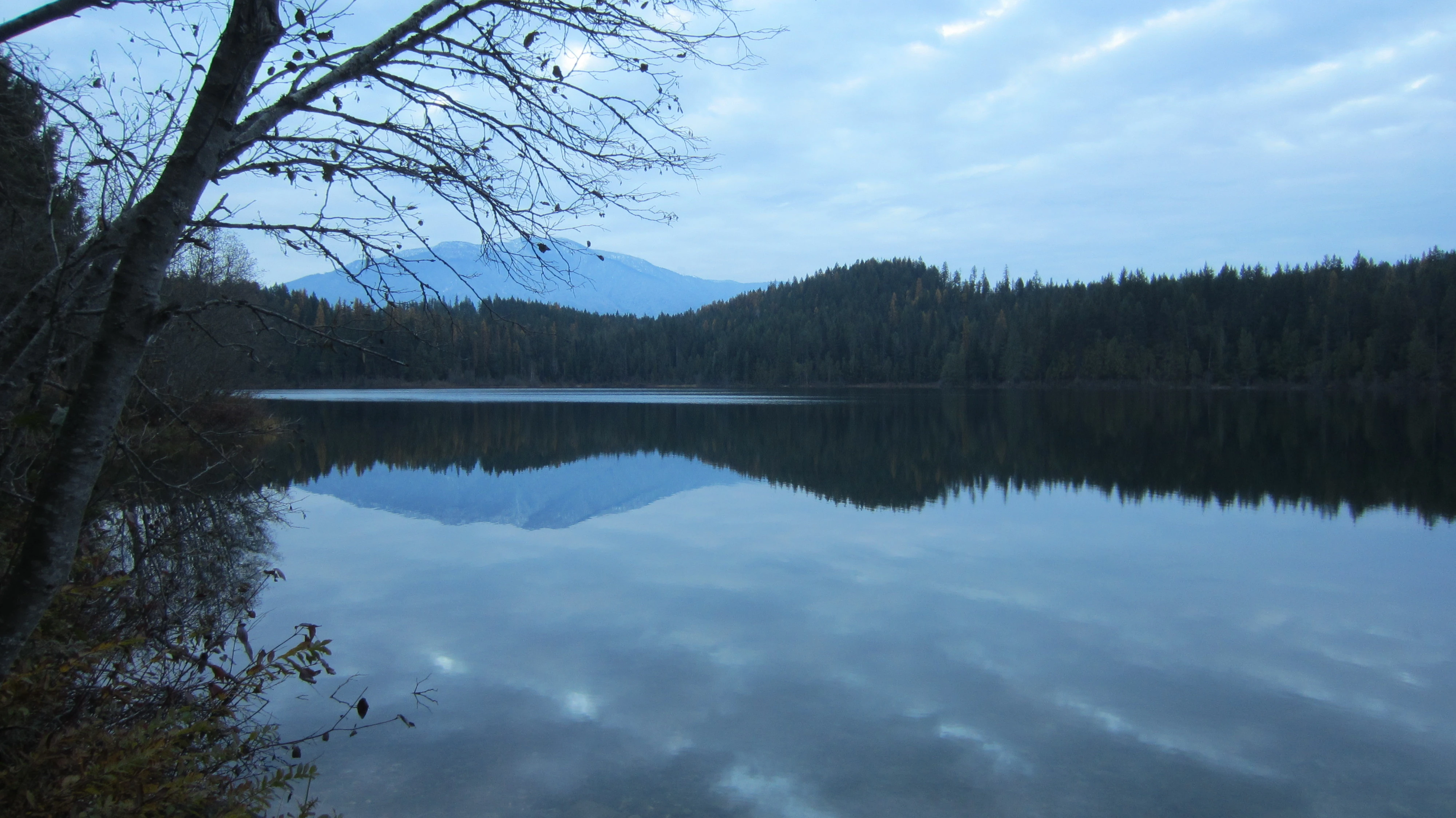 Photo: Recreation Sites and Trails BC. © Province of British Columbia, licensed under the Open Government Licence – British Columbia. Catherine Lake, photo 5