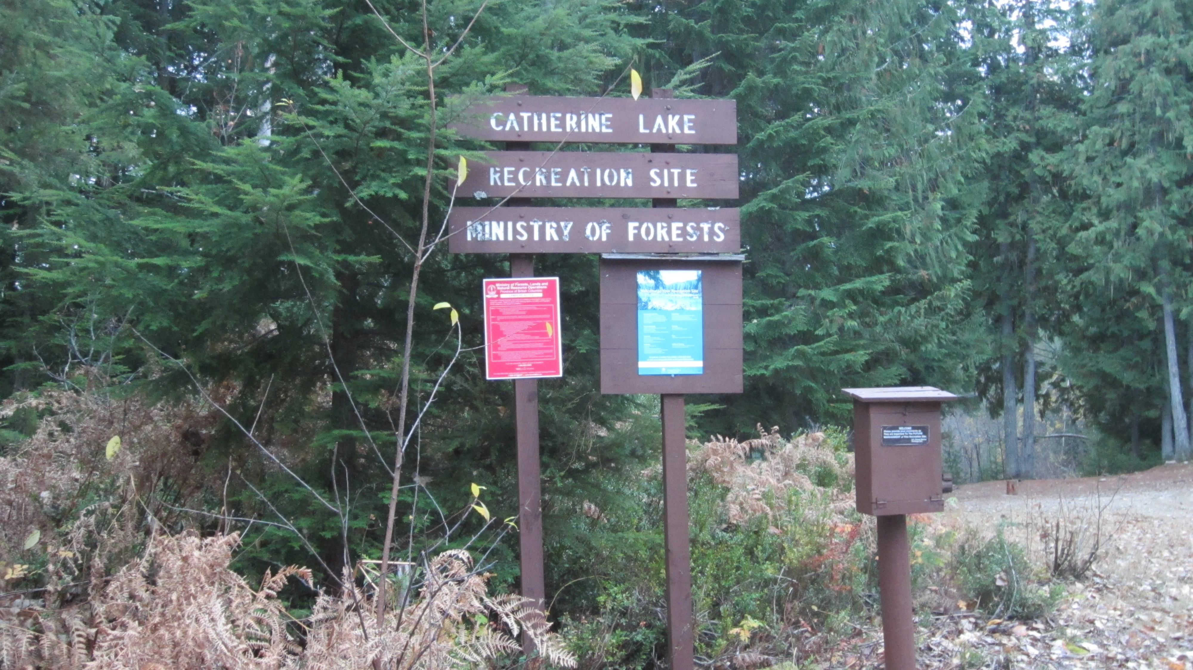 Photo: Recreation Sites and Trails BC. © Province of British Columbia, licensed under the Open Government Licence – British Columbia. Catherine Lake, photo 3