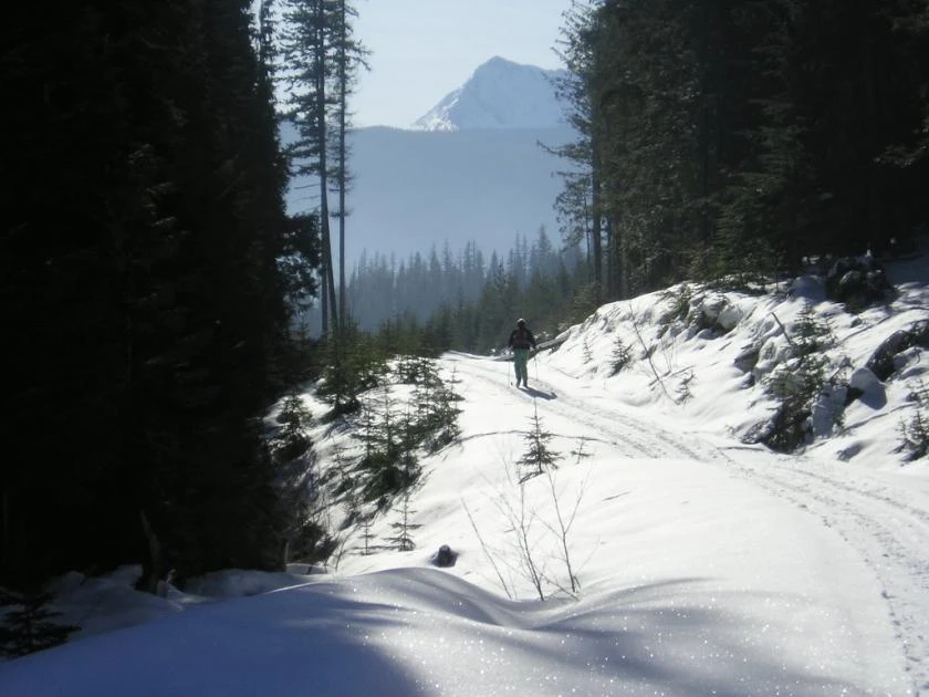 Photo: Recreation Sites and Trails BC. © Province of British Columbia, licensed under the Open Government Licence – British Columbia. Paulson Cross-Country, photo 4