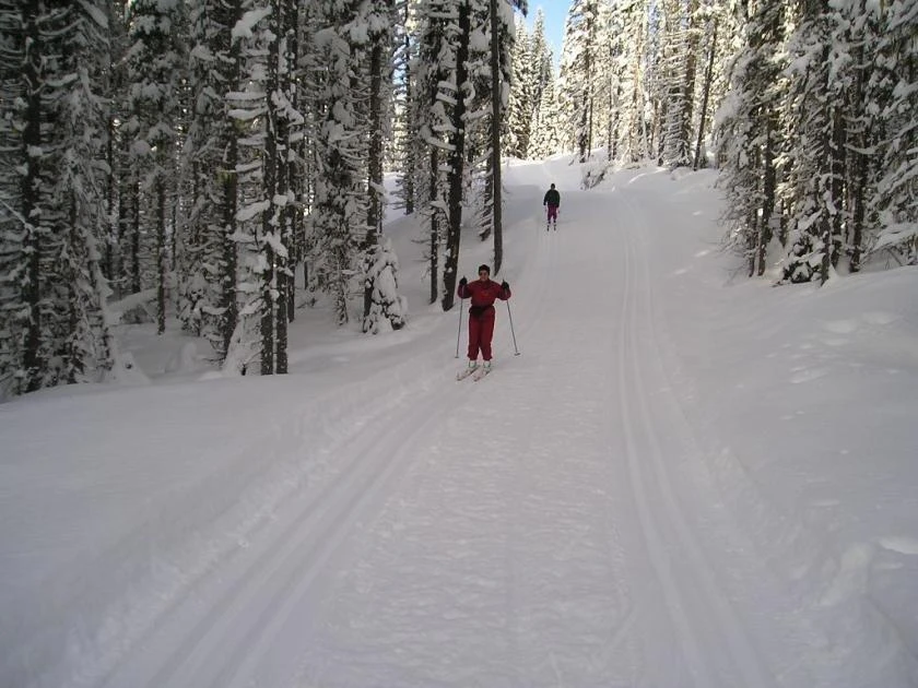 Photo: Recreation Sites and Trails BC. © Province of British Columbia, licensed under the Open Government Licence – British Columbia. Paulson Cross-Country, photo 9