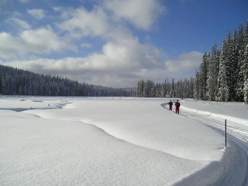 Photo: Recreation Sites and Trails BC. © Province of British Columbia, licensed under the Open Government Licence – British Columbia. Paulson Cross-Country, photo 5