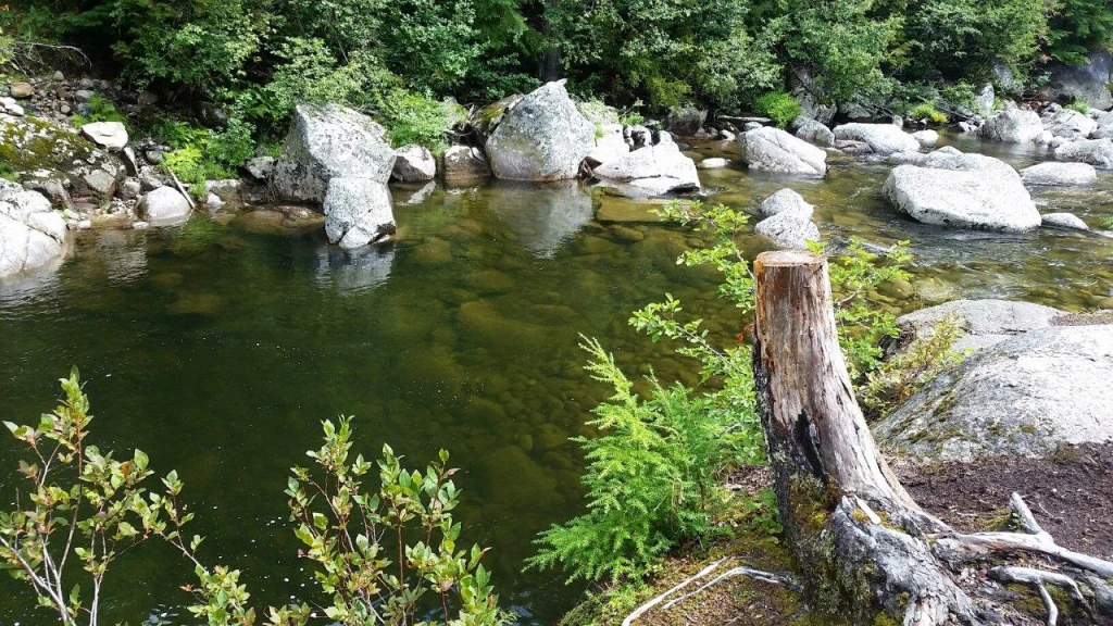 Photo: Recreation Sites and Trails BC. © Province of British Columbia, licensed under the Open Government Licence – British Columbia. Grizzly Creek, photo 4