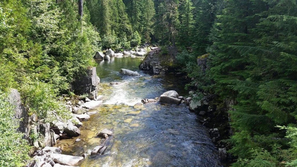 Photo: Recreation Sites and Trails BC. © Province of British Columbia, licensed under the Open Government Licence – British Columbia. Grizzly Creek, photo 6