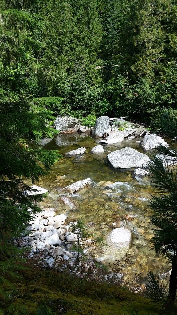 Photo: Recreation Sites and Trails BC. © Province of British Columbia, licensed under the Open Government Licence – British Columbia. Grizzly Creek, photo 5