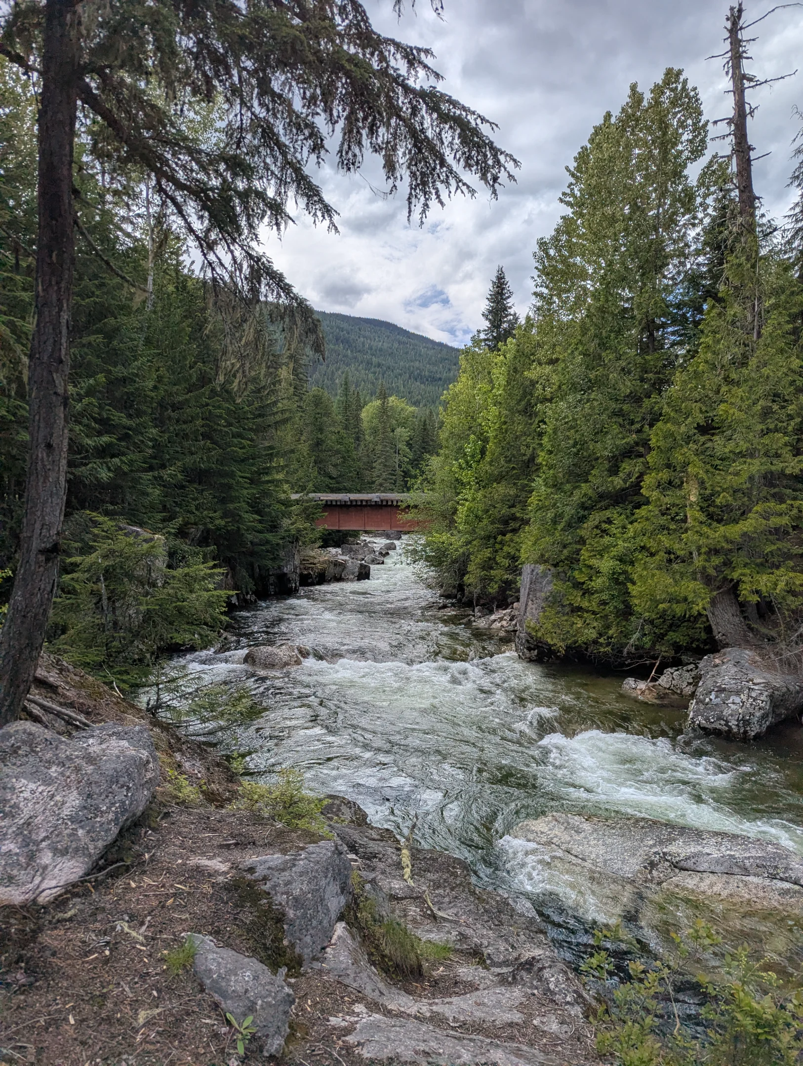 Photo: Recreation Sites and Trails BC. © Province of British Columbia, licensed under the Open Government Licence – British Columbia. Grizzly Creek, photo 8