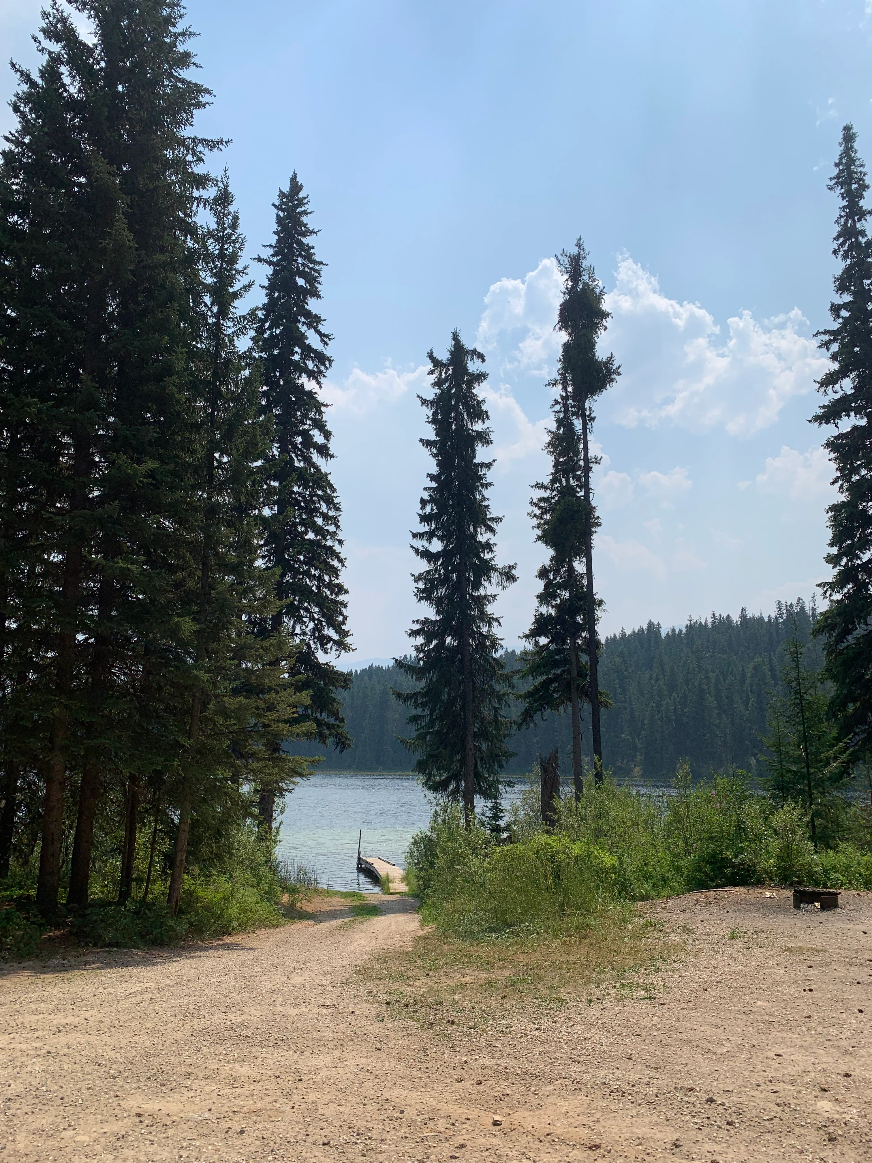 Photo: Recreation Sites and Trails BC. © Province of British Columbia, licensed under the Open Government Licence – British Columbia. Bittern Lake, photo 3
