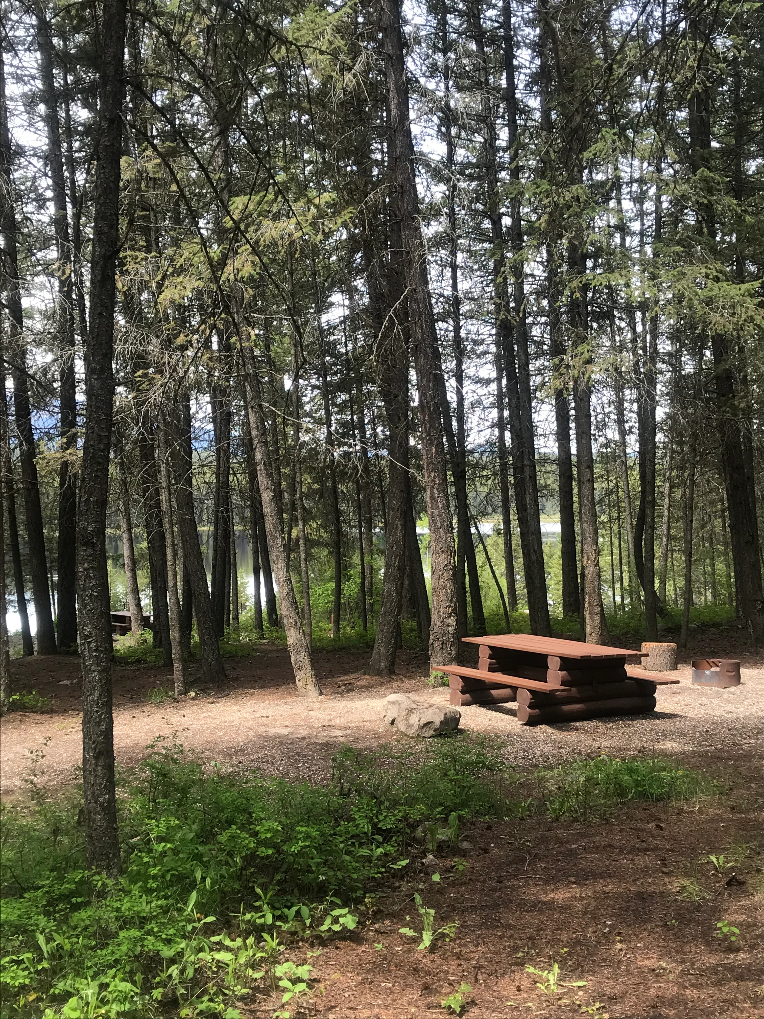Photo: Recreation Sites and Trails BC. © Province of British Columbia, licensed under the Open Government Licence – British Columbia. Mitten Lake, photo 3