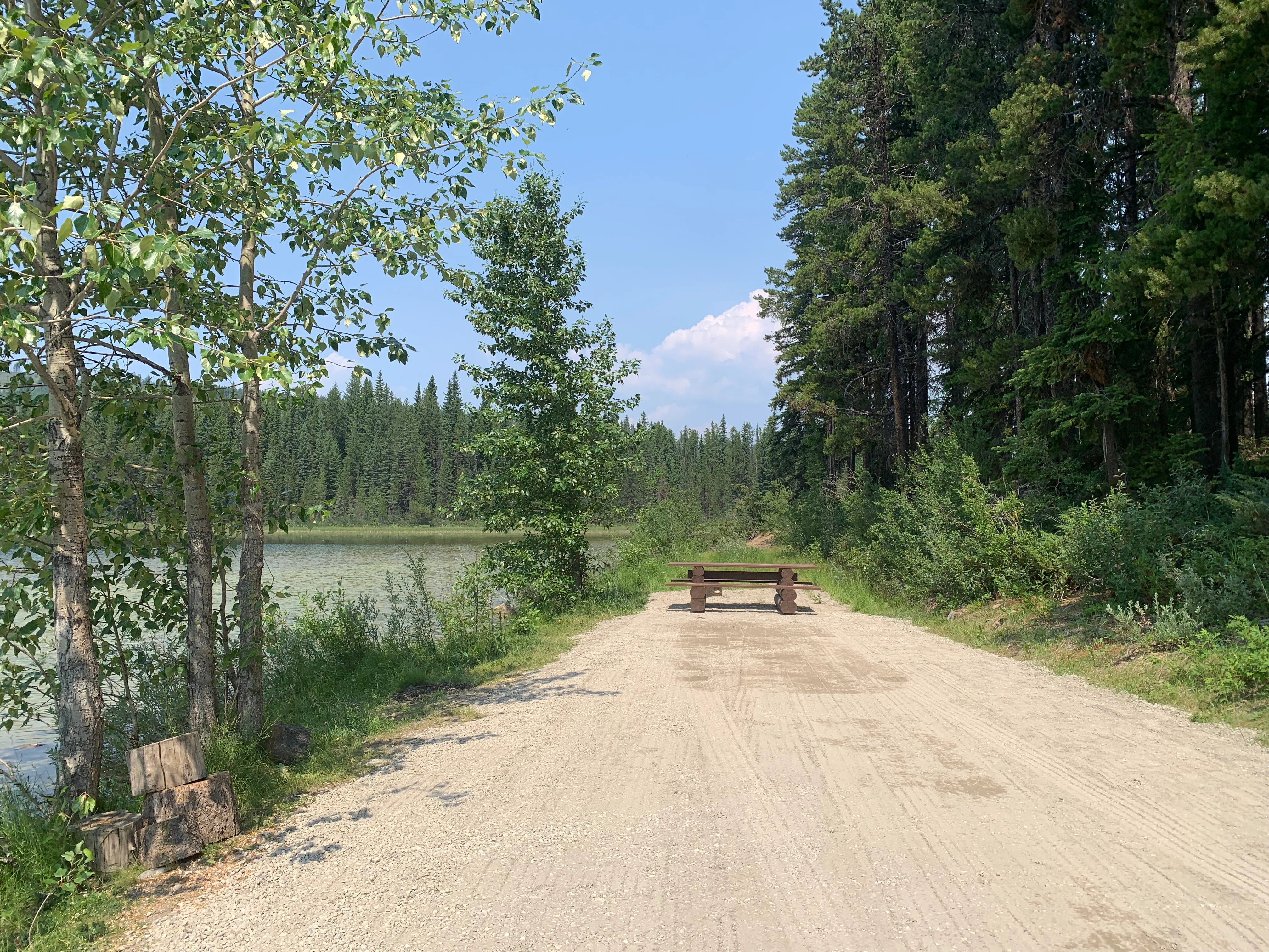 Photo: Recreation Sites and Trails BC. © Province of British Columbia, licensed under the Open Government Licence – British Columbia. Wilbur Lake, photo 2