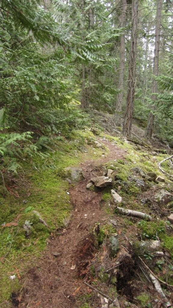 Photo: Recreation Sites and Trails BC. © Province of British Columbia, licensed under the Open Government Licence – British Columbia. Pebble Beach, photo 11