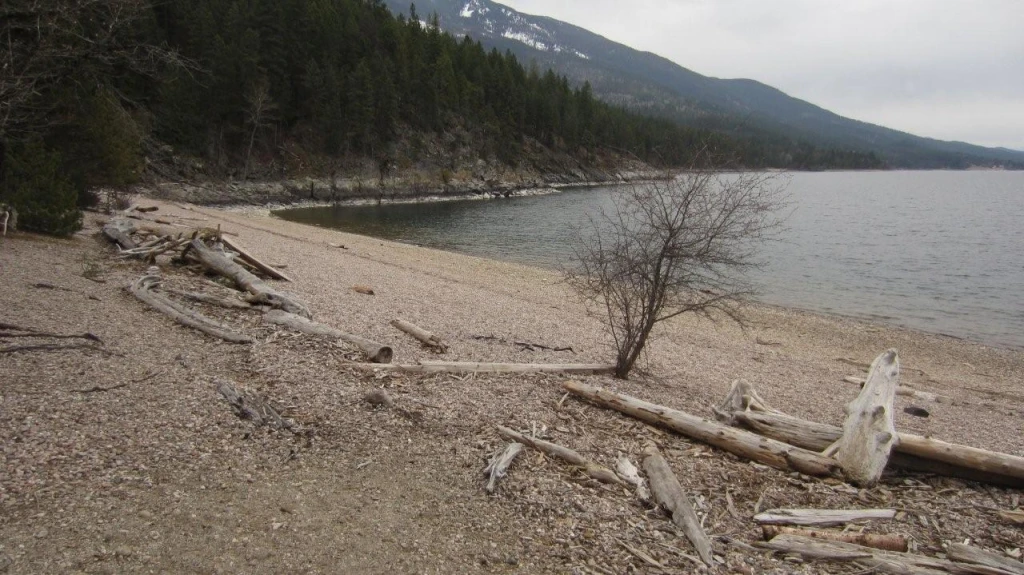 Photo: Recreation Sites and Trails BC. © Province of British Columbia, licensed under the Open Government Licence – British Columbia. Pebble Beach, photo 8