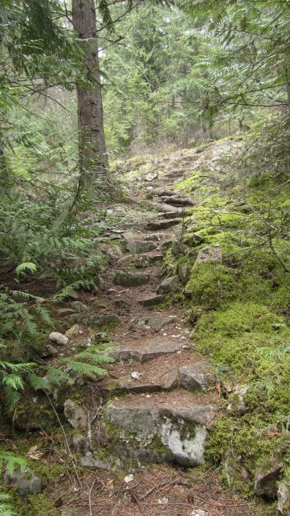 Photo: Recreation Sites and Trails BC. © Province of British Columbia, licensed under the Open Government Licence – British Columbia. Pebble Beach, photo 12