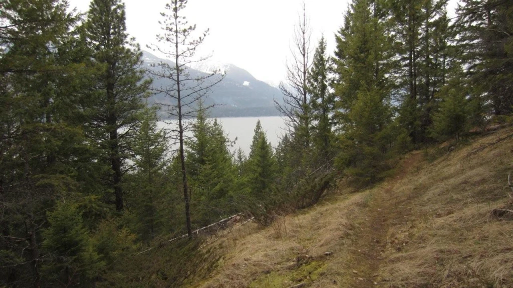 Photo: Recreation Sites and Trails BC. © Province of British Columbia, licensed under the Open Government Licence – British Columbia. Pebble Beach, photo 13