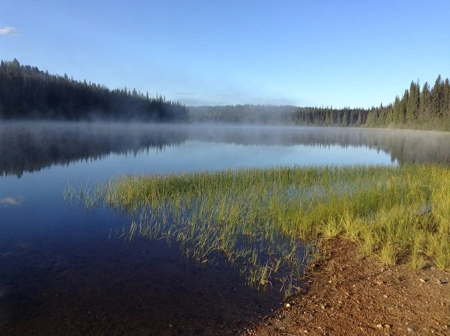 Photo: Recreation Sites and Trails BC. © Province of British Columbia, licensed under the Open Government Licence – British Columbia. Scot Lake North, photo 2