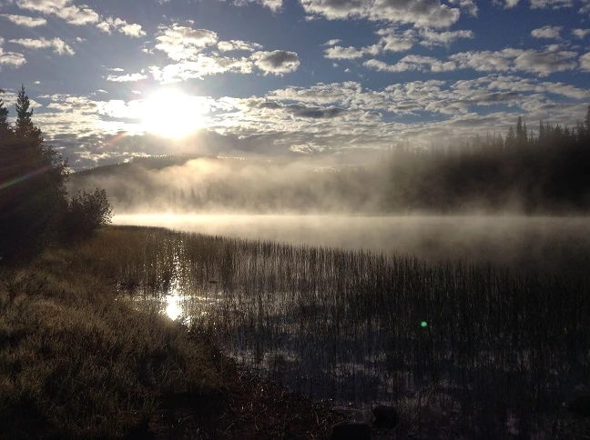 Photo: Recreation Sites and Trails BC. © Province of British Columbia, licensed under the Open Government Licence – British Columbia. Scot Lake North, photo 3