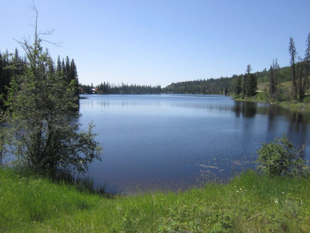 Photo: Recreation Sites and Trails BC. © Province of British Columbia, licensed under the Open Government Licence – British Columbia. Pressy Lake, photo 3
