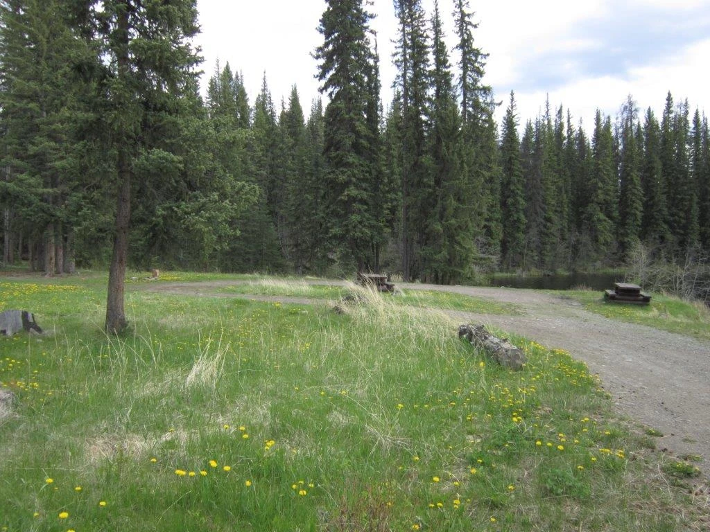 Photo: Recreation Sites and Trails BC. © Province of British Columbia, licensed under the Open Government Licence – British Columbia. Pressy Lake